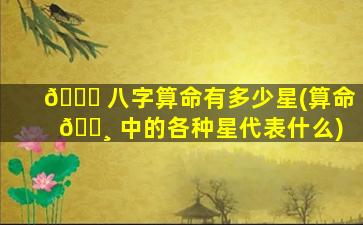 🐟 八字算命有多少星(算命 🌸 中的各种星代表什么)